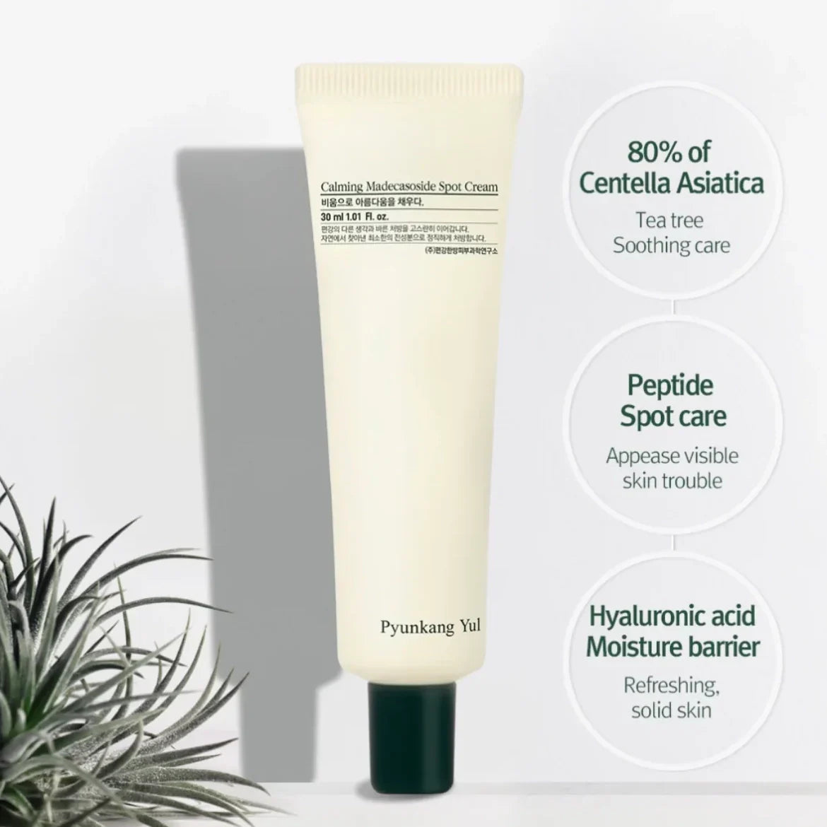 PYUNKANG YUL Calming
Madecassoside Spot Cream - 30ml